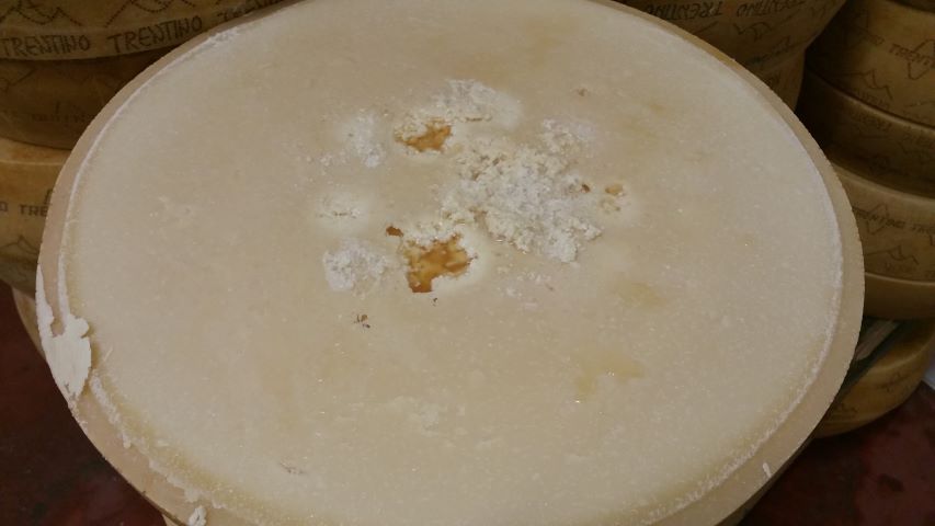Contenuto e distribuzione spaziale di spore di Clostridium causa di gonfiore tardivo, nel formaggio Grana Padano durante il periodo di maturazione
